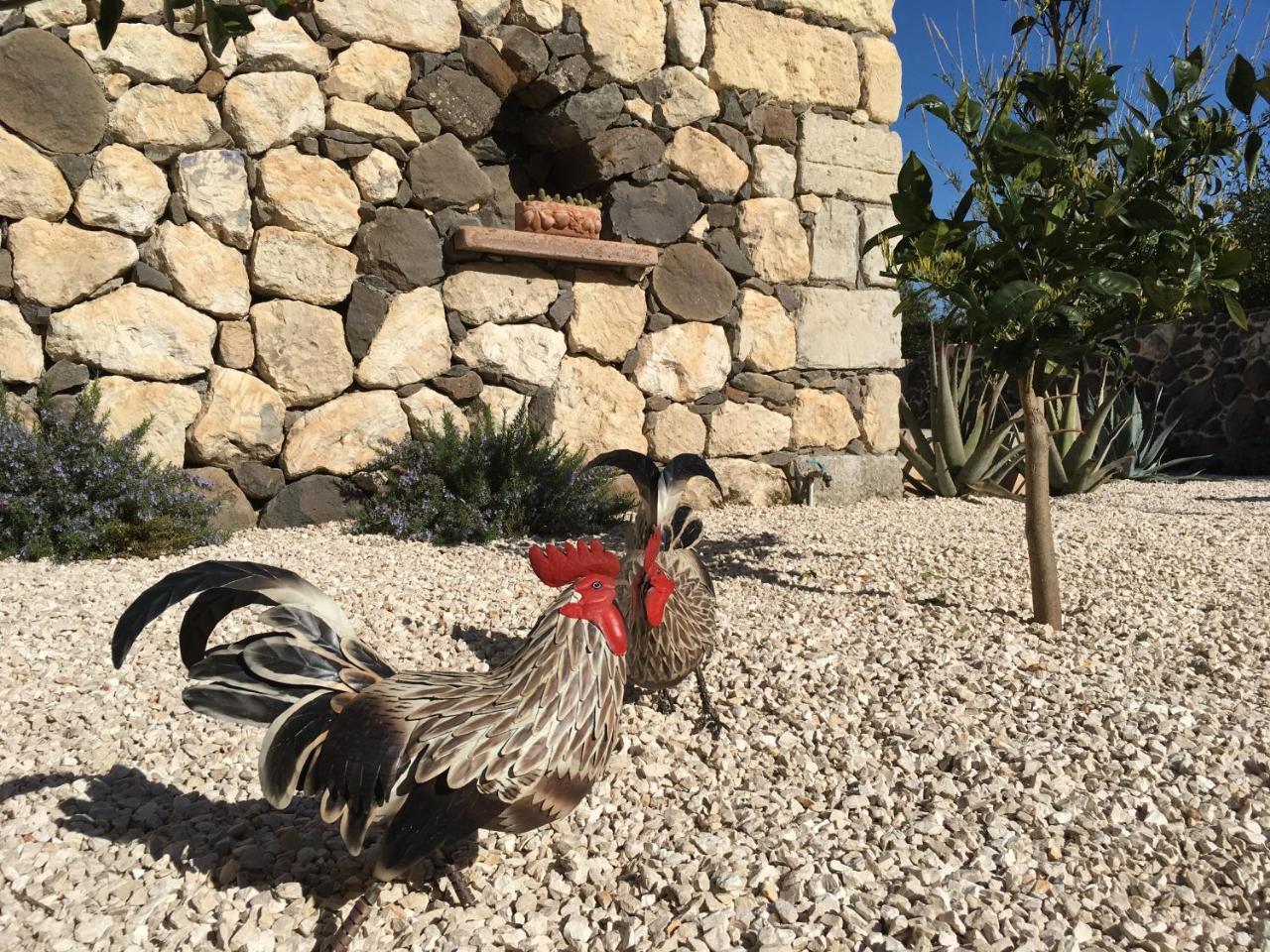 La Petite Maison Tresnuraghes Dış mekan fotoğraf